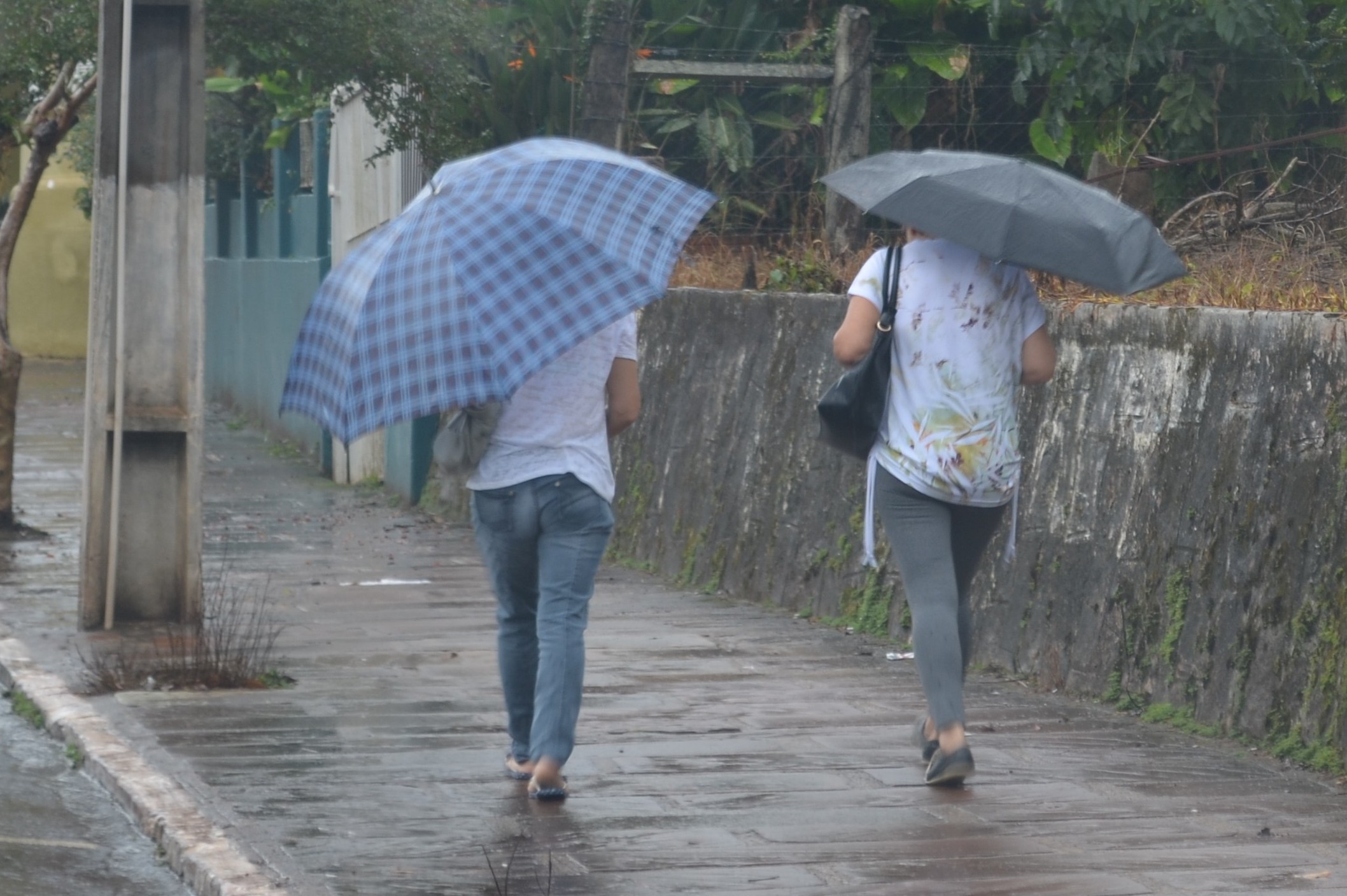 Foto: Juliano Beppler da Silva / Giro do Vale